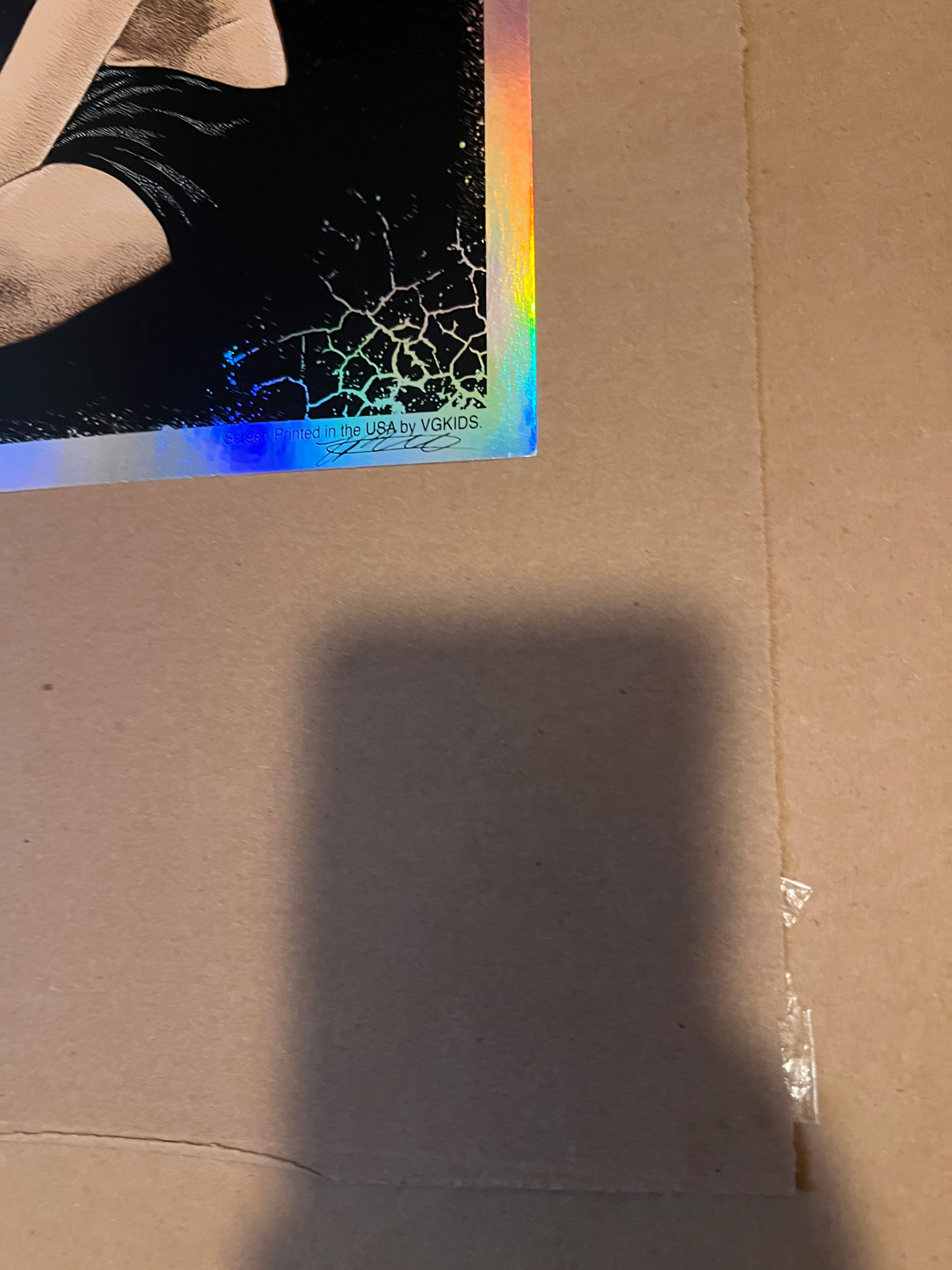 Timothy Pittides "Pride" Rainbow Foil rare 40/40 perfect!