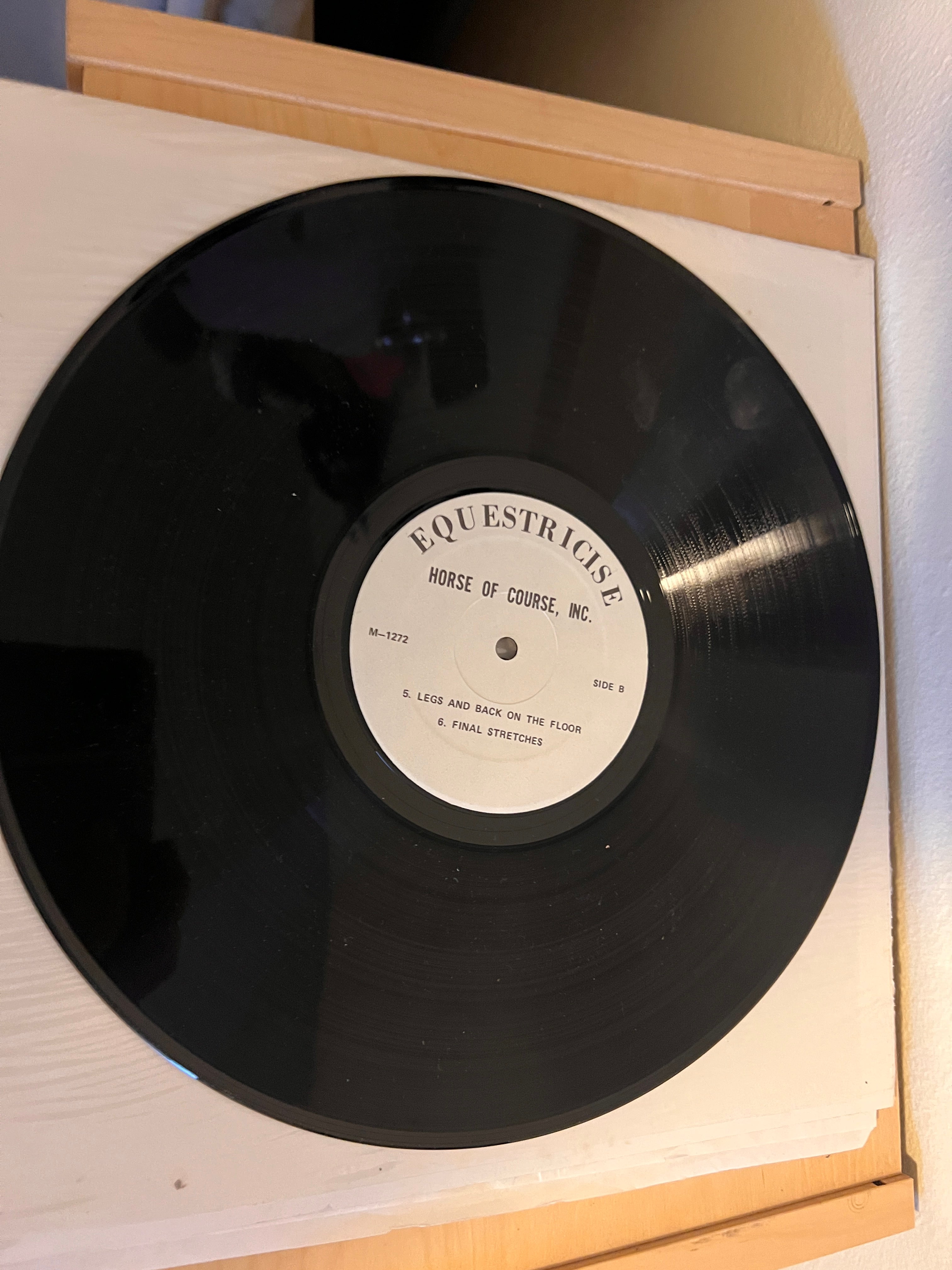 Equestricise Exercise program for the Equestrian Maloy with Vinyl