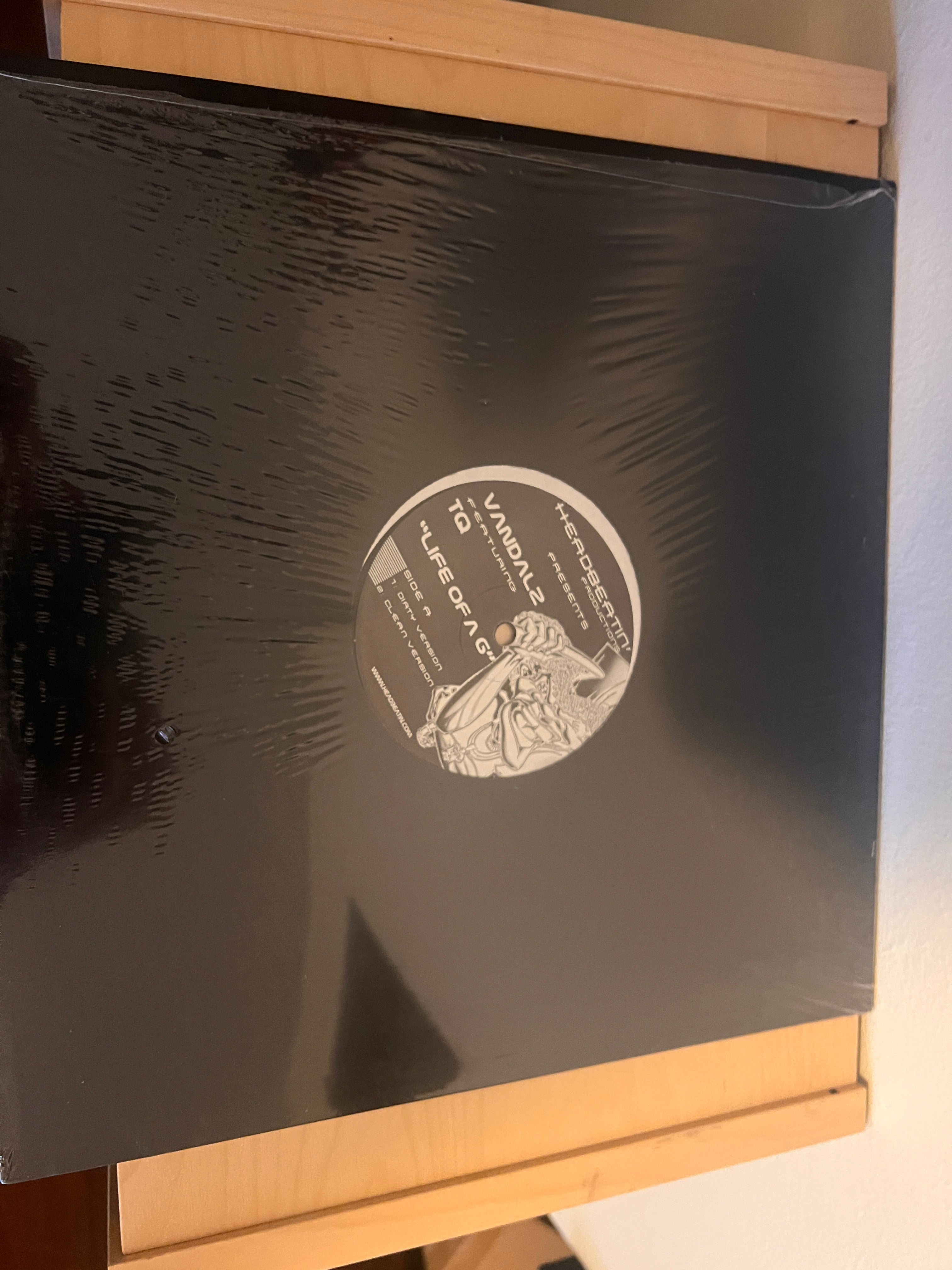 VANDALZ + TQ - LIFE OF A G (12") 2001 rare vinyl!