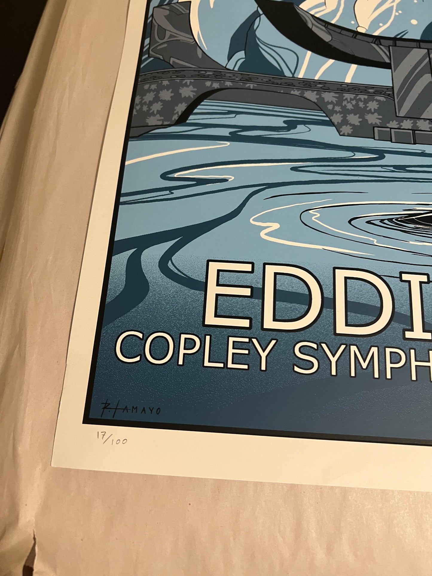 Eddie Vedder San Diego 2011 Poster by Amayo Signed SN!  18x24! VARIANT!