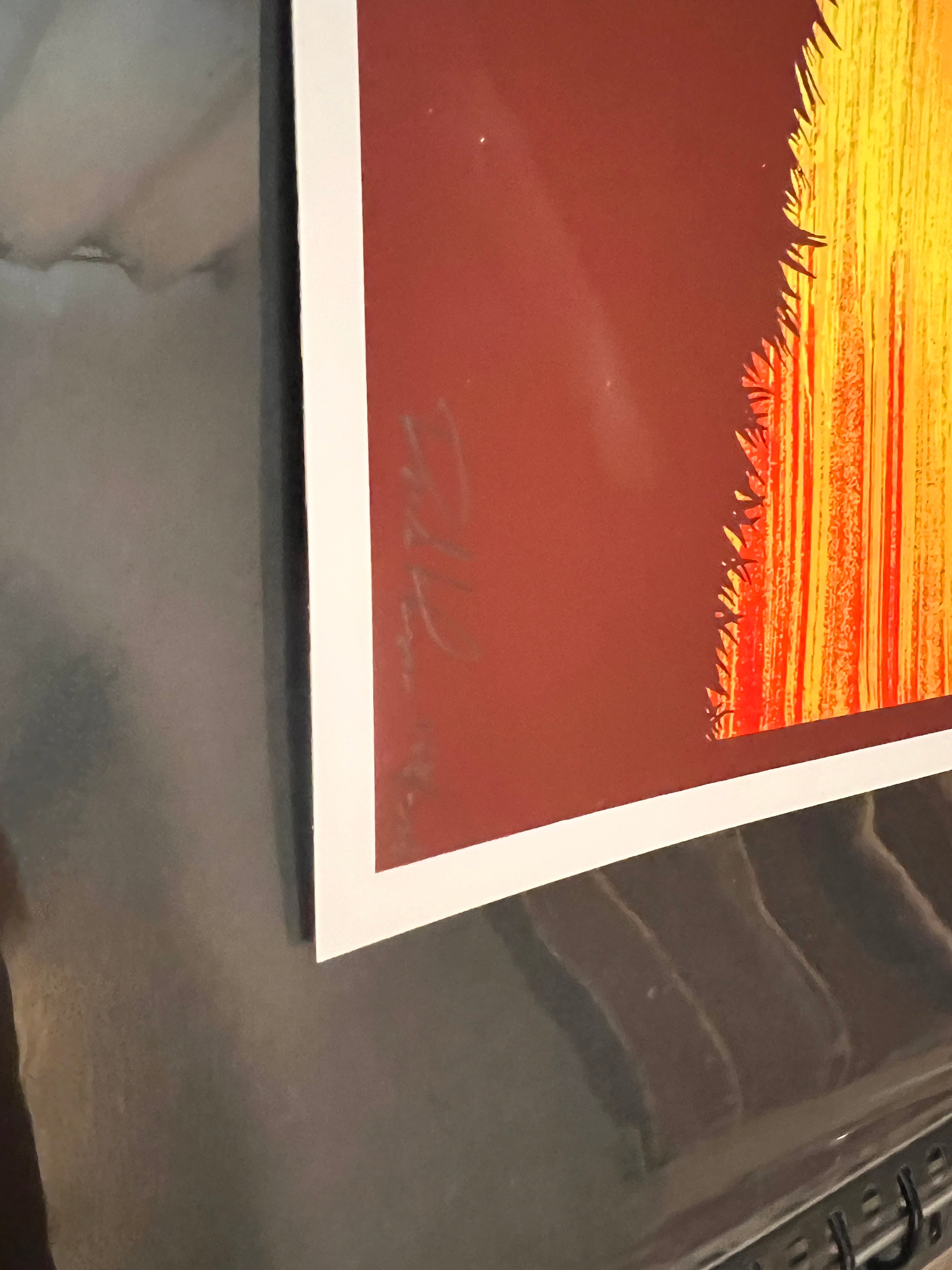 EDDIE VEDDER Rejected Poster Hawaii 2009 KLAUSEN SIGNED