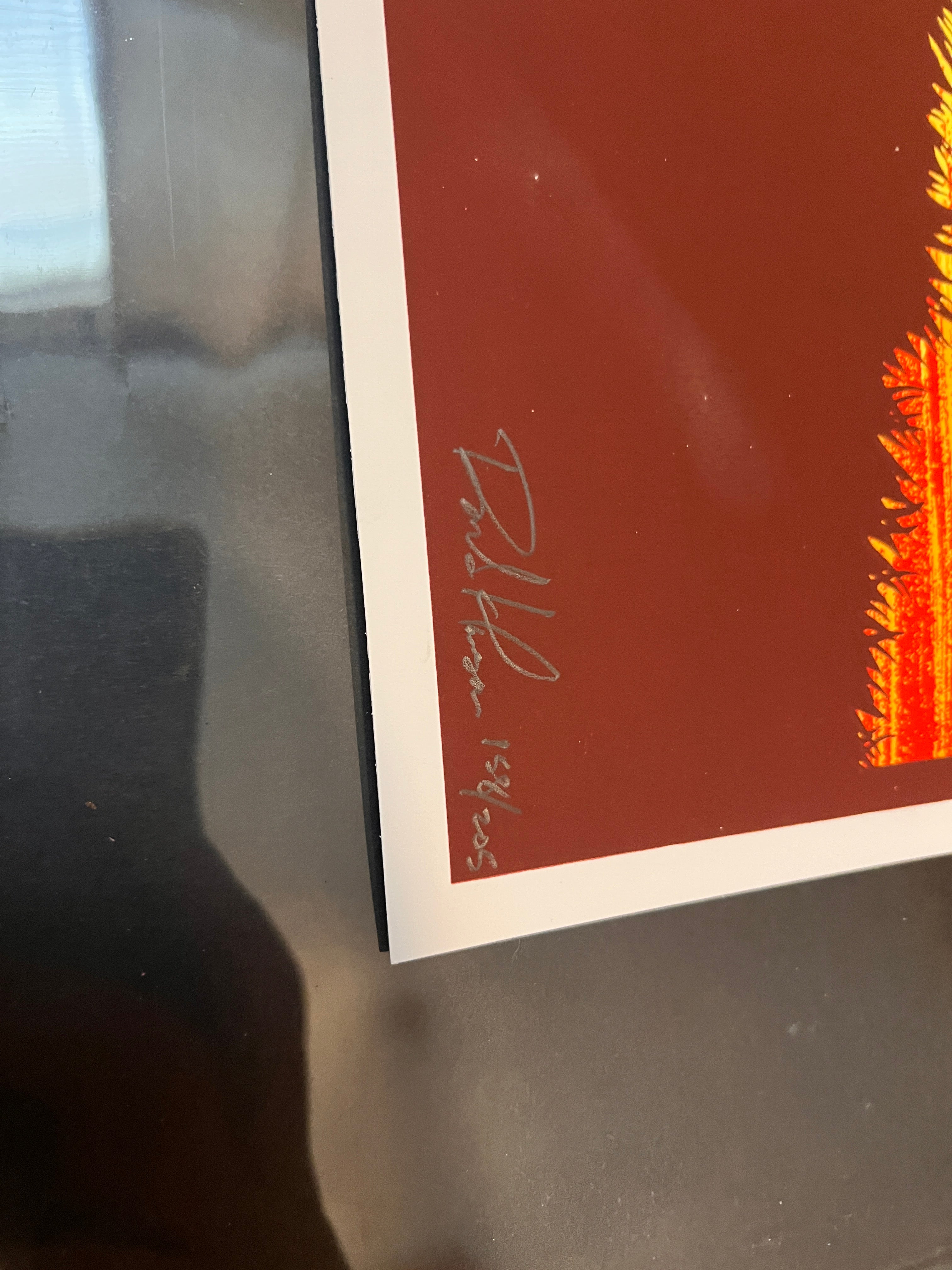 EDDIE VEDDER Rejected Poster Hawaii 2009 KLAUSEN SIGNED