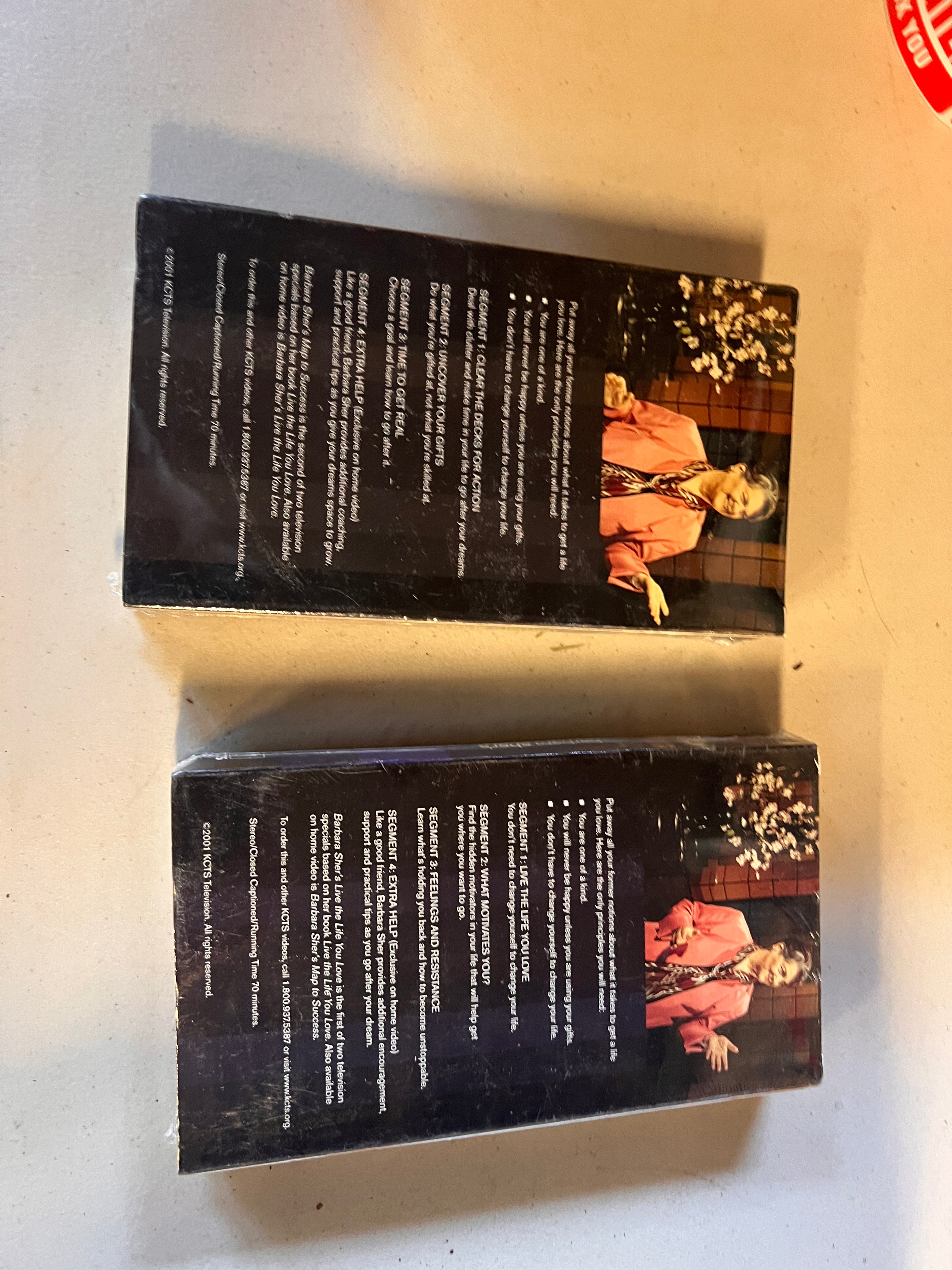 Barbara Sher's Map to Success and Live life you Love VHS