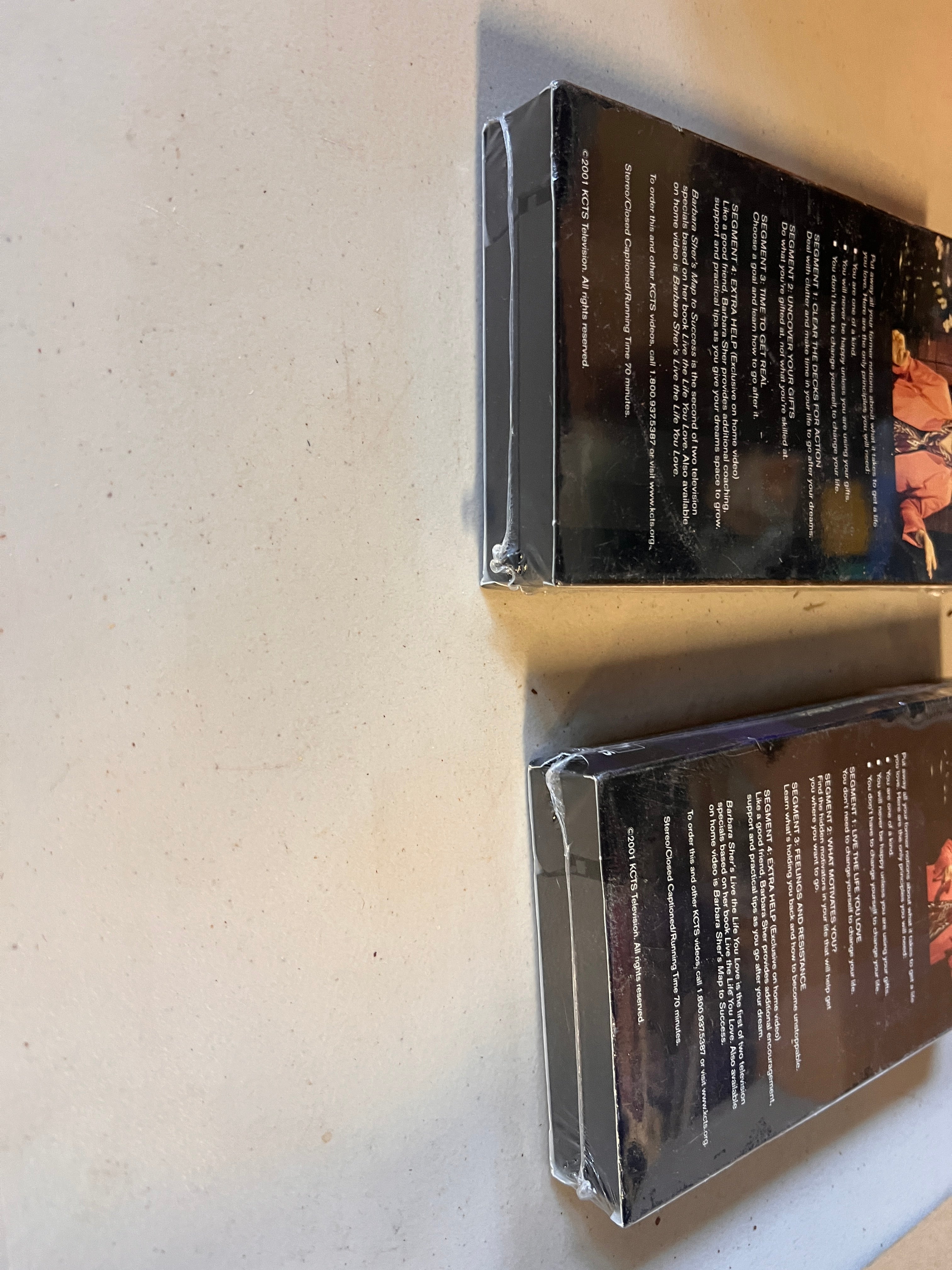 Barbara Sher's Map to Success and Live life you Love VHS