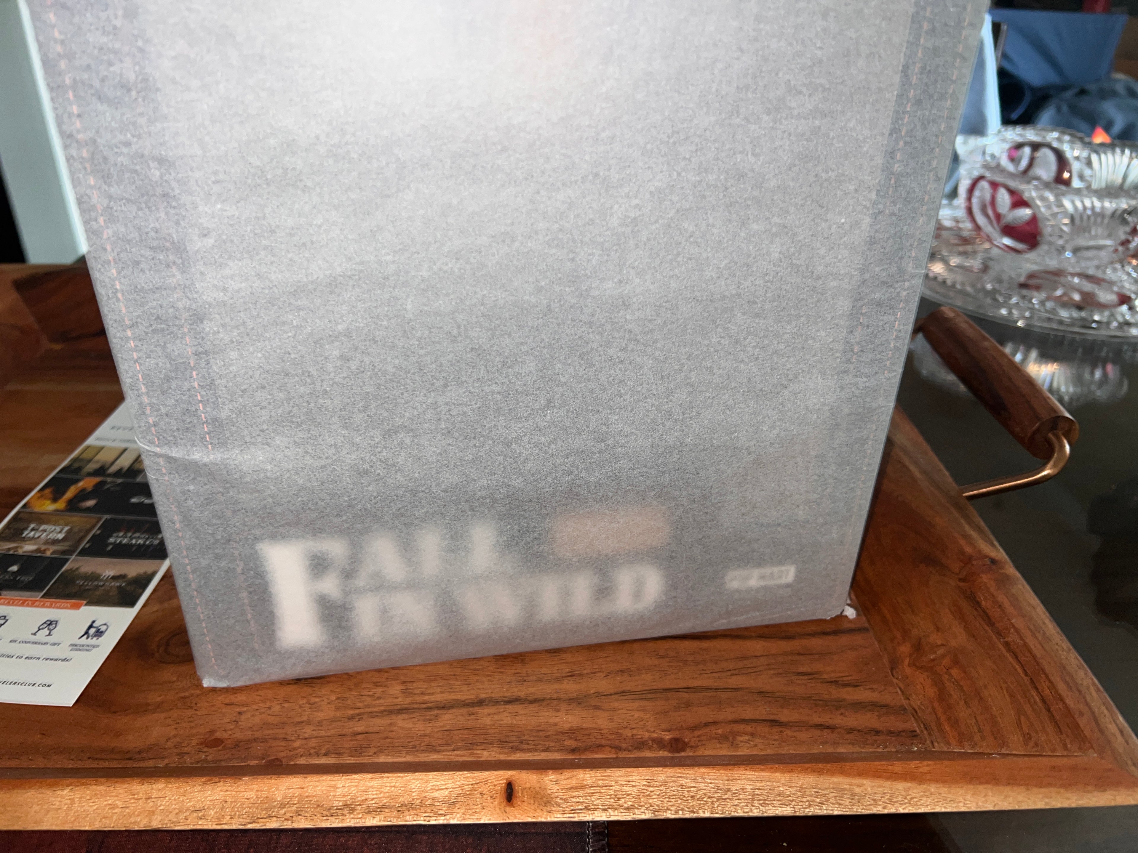 Labubu The Monsters- Fall In Wild Series - Big Plush Doll (US Seller)