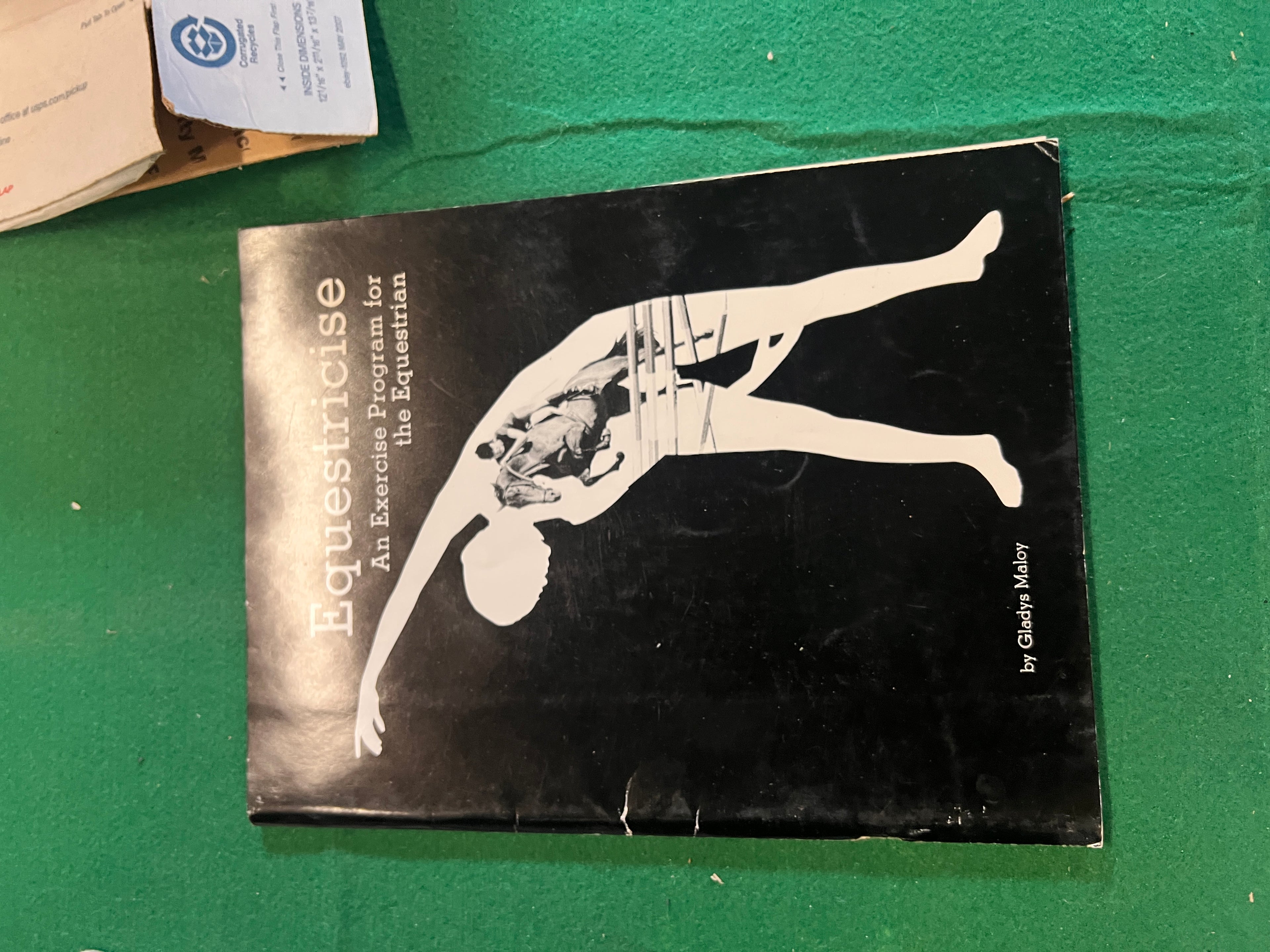 Equestricise Exercise program for the Equestrian Maloy