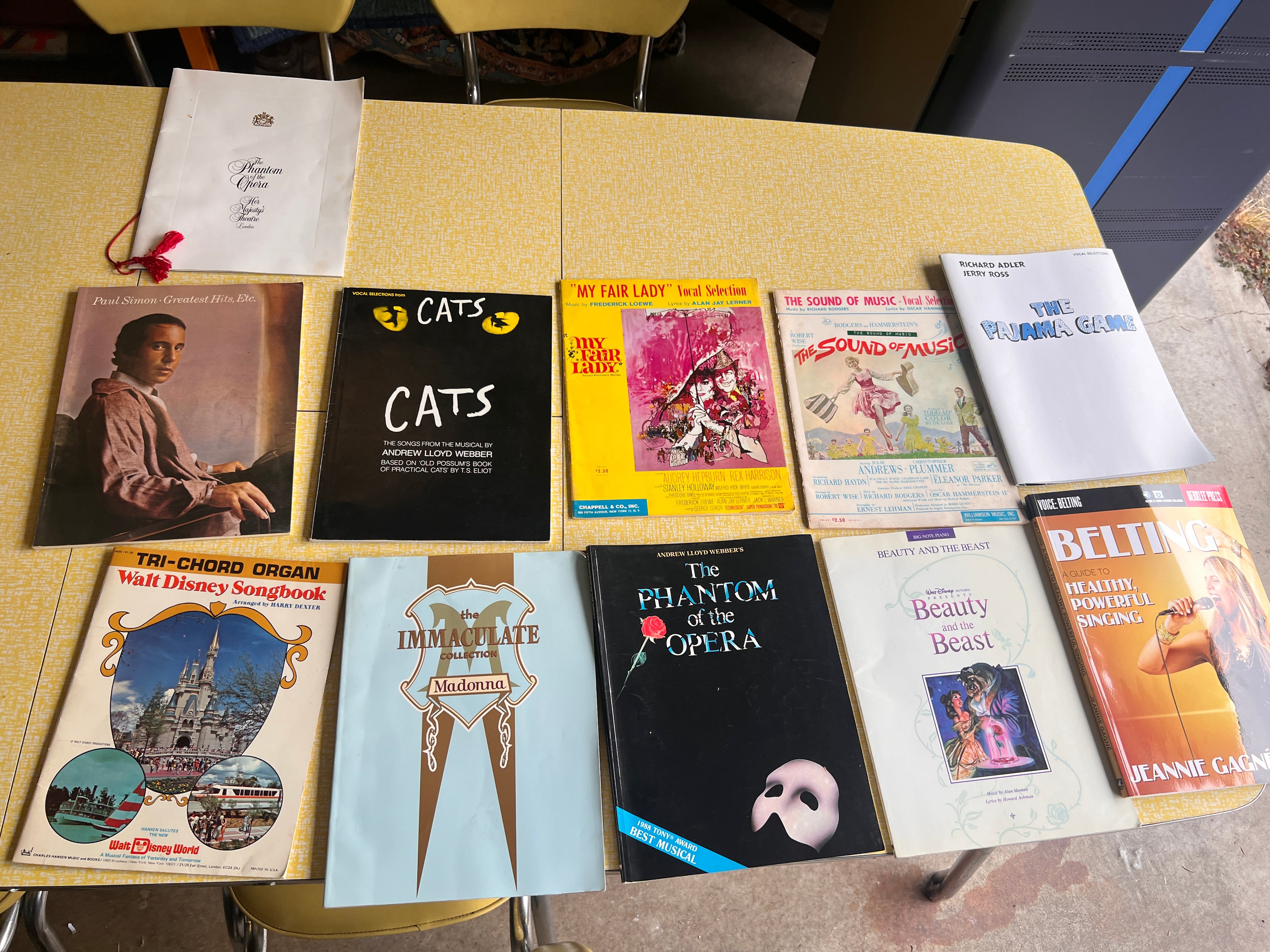 Broadway • Pop • Disney • Vocal Training – 11 Songbooks