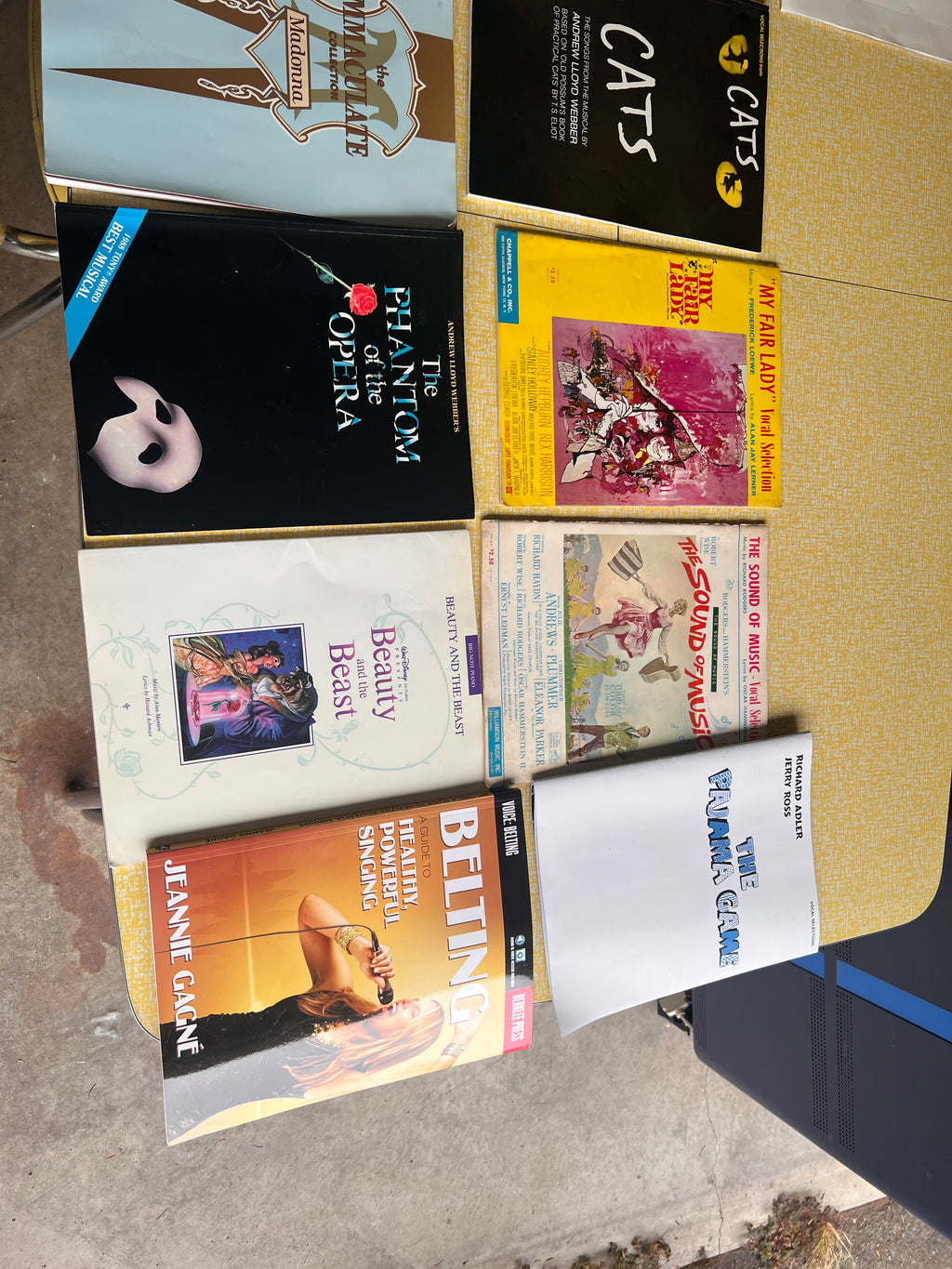 Broadway • Pop • Disney • Vocal Training – 11 Songbooks