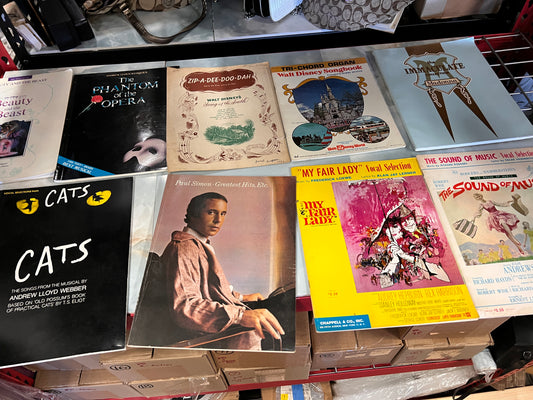 Bundle of Vintage and Antique Songbooks!  Disney Madonna and more!