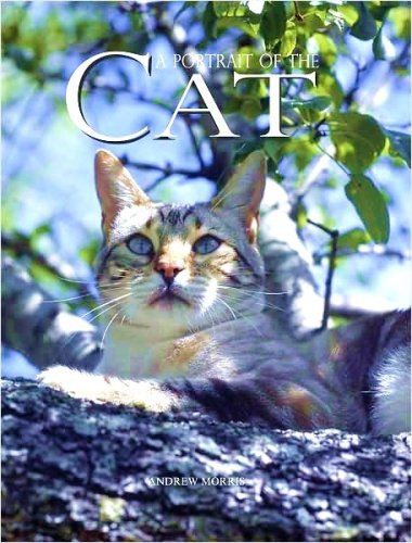 A Portrait of the Cat [Hardcover] Andrew Morris