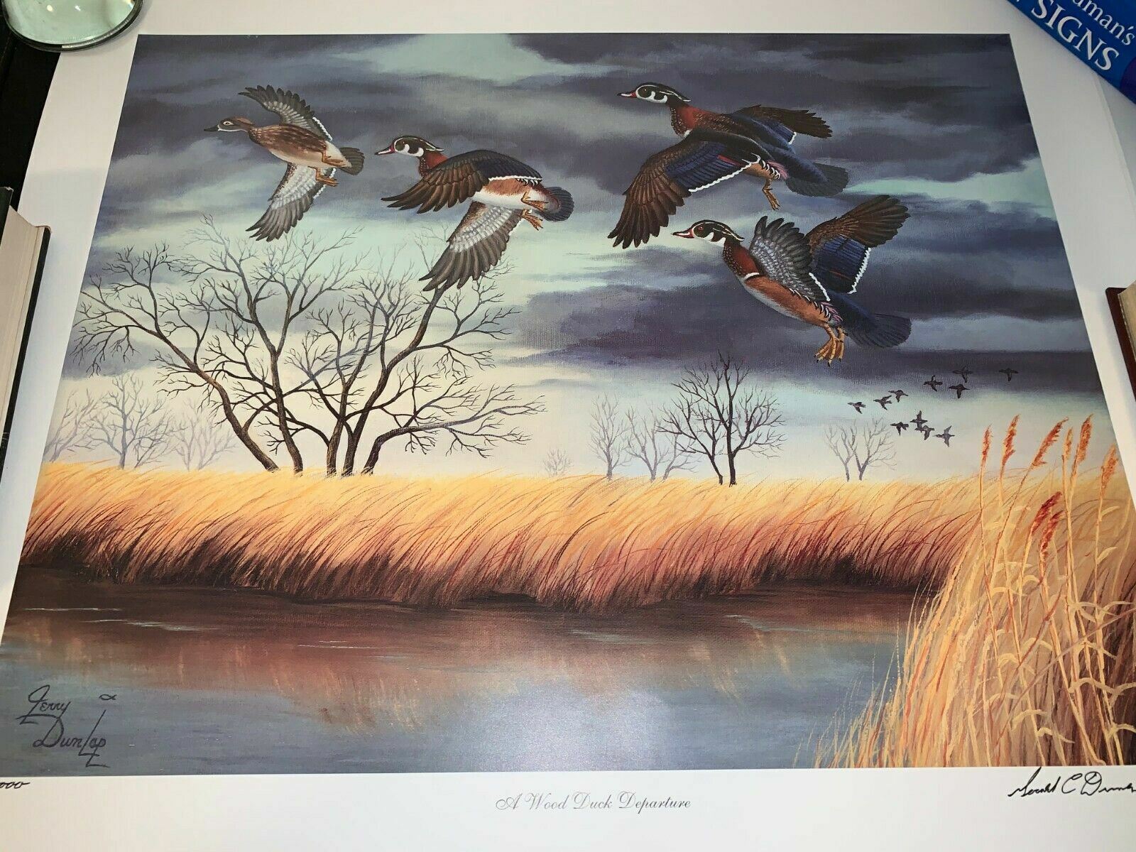 Rare signed / fingerprinted copies of A Wood Duck Departure Art Print 23x18.5