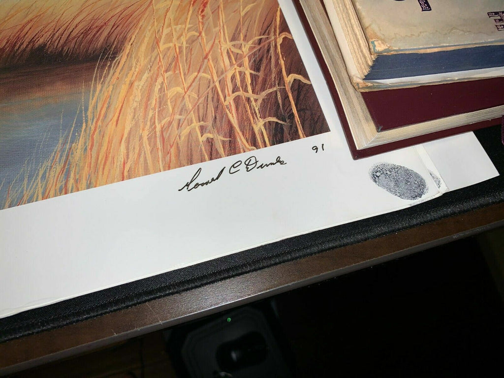 Rare signed / fingerprinted copies of A Wood Duck Departure Art Print 23x18.5