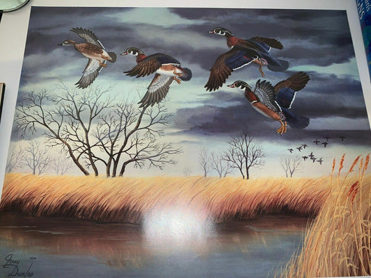 Rare signed / fingerprinted copies of A Wood Duck Departure Art Print 23x18.5