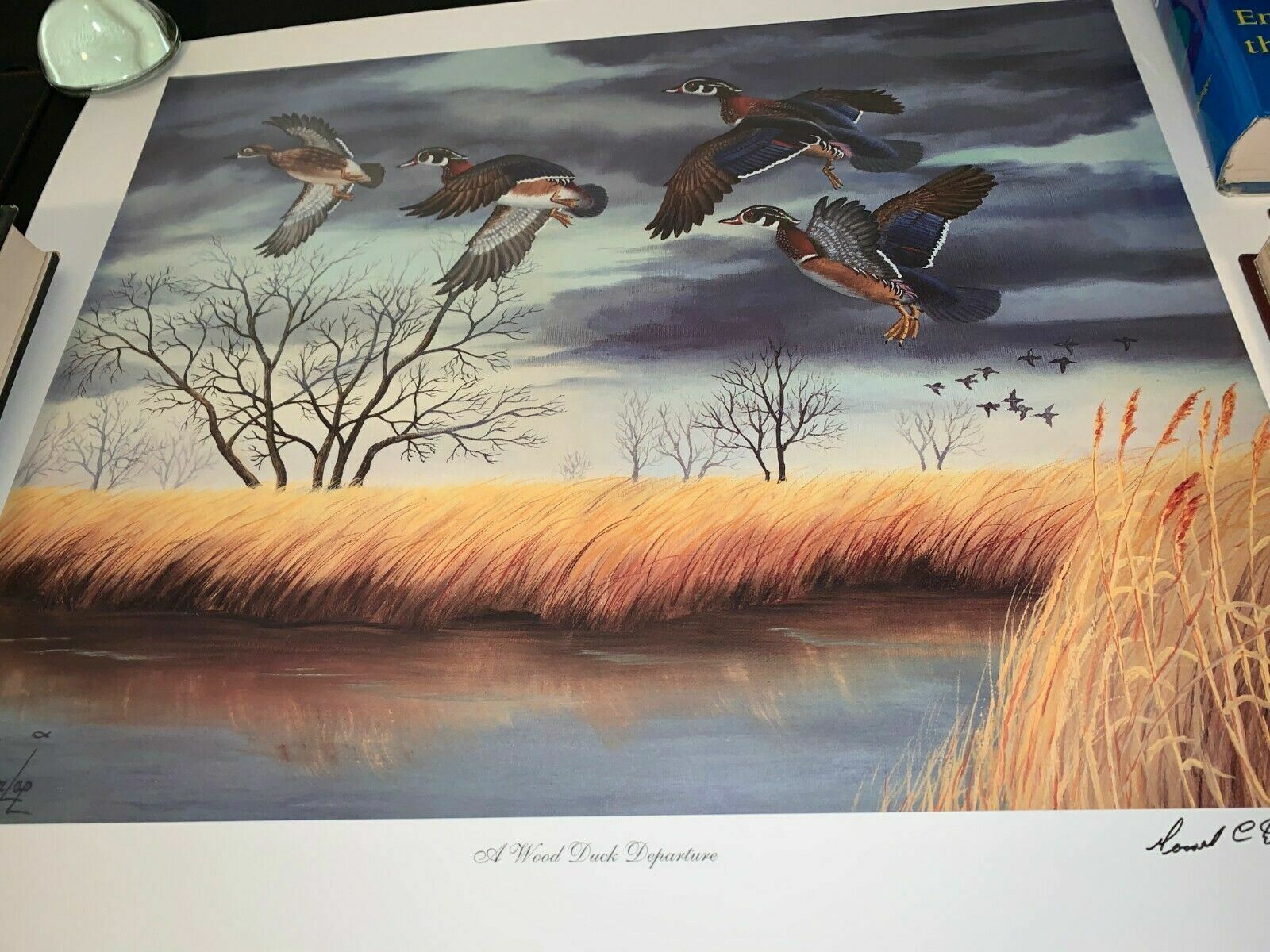 Rare signed / fingerprinted copies of A Wood Duck Departure Art Print 23x18.5