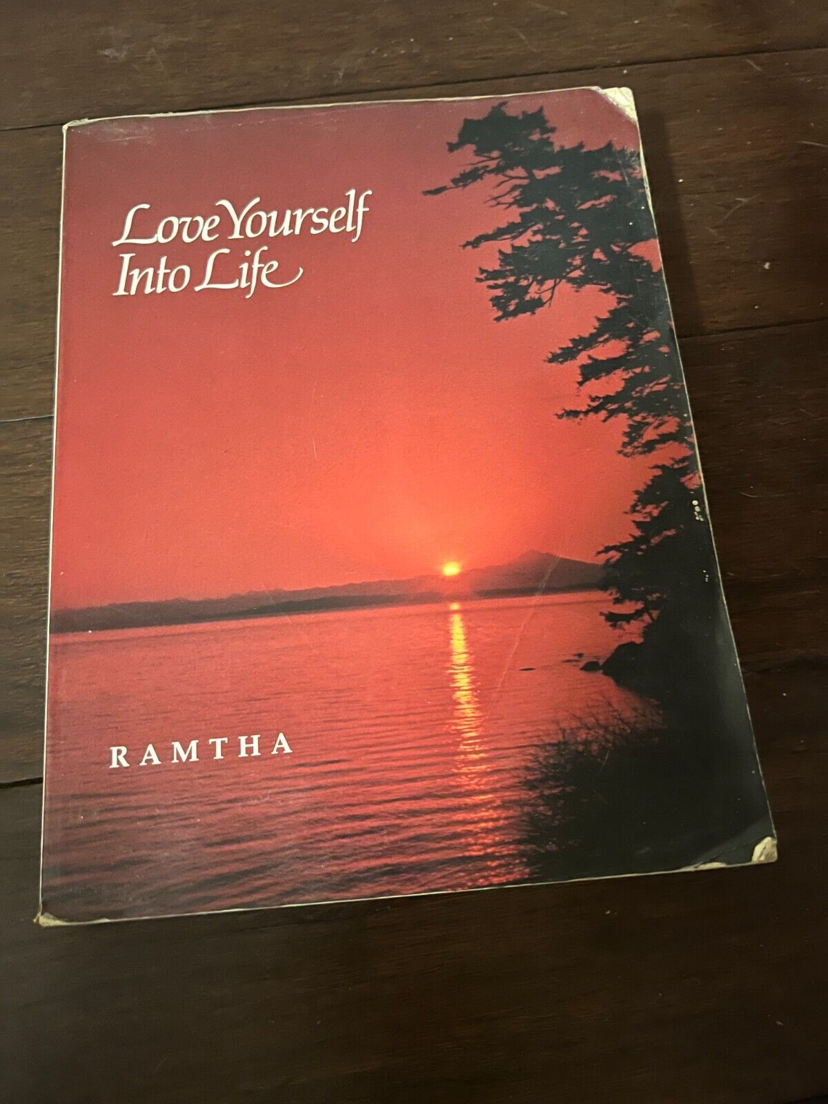 LOVE YOURSELF INTO LIFE: THE MAGIC BOOK By Ramtha Ramtha 1983 Master Edition