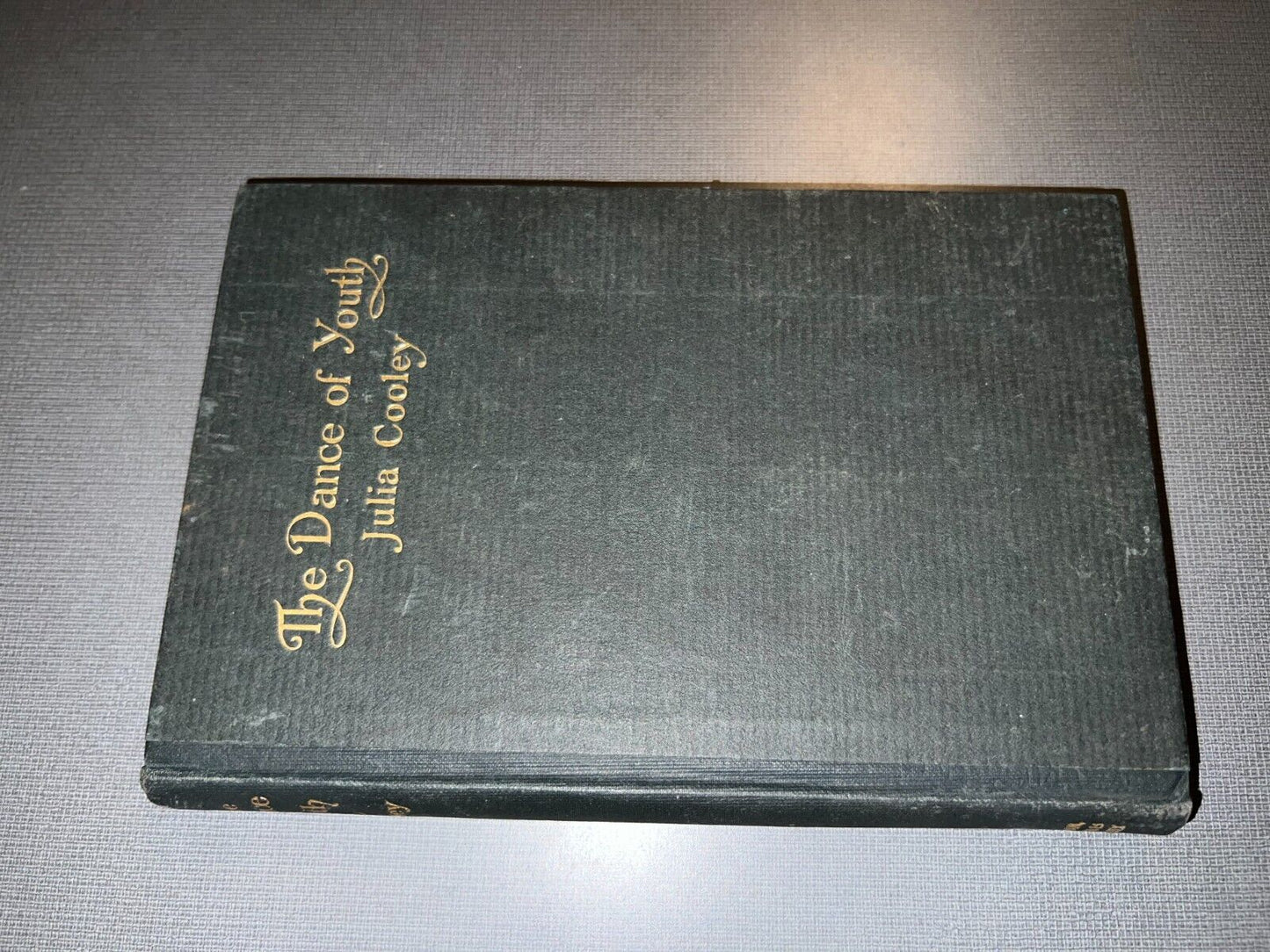 The Dance of Youth and Other Poems  (1st Ed) by Cooley, Julia