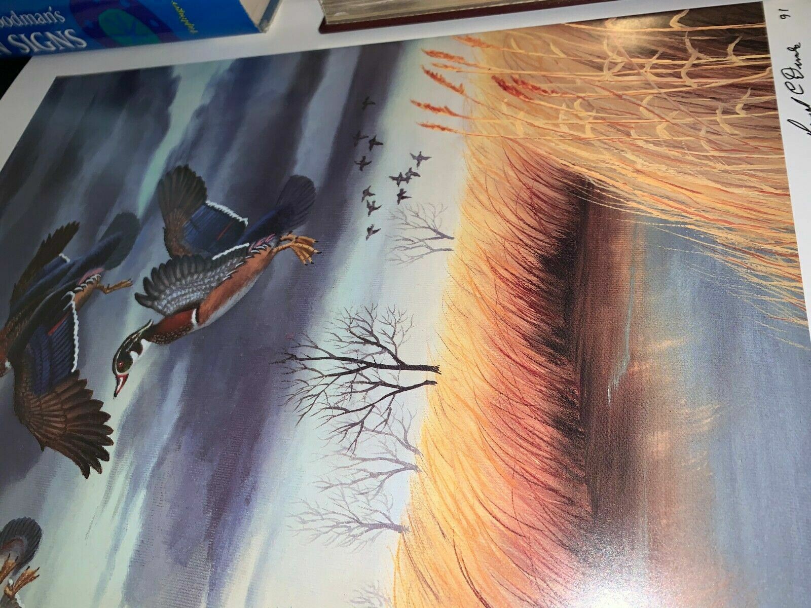 Rare signed / fingerprinted copies of A Wood Duck Departure Art Print 23x18.5