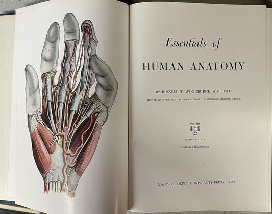 Essentials of Human Anatomy 2ND Edition [Hardcover] Woodburne, Russell T